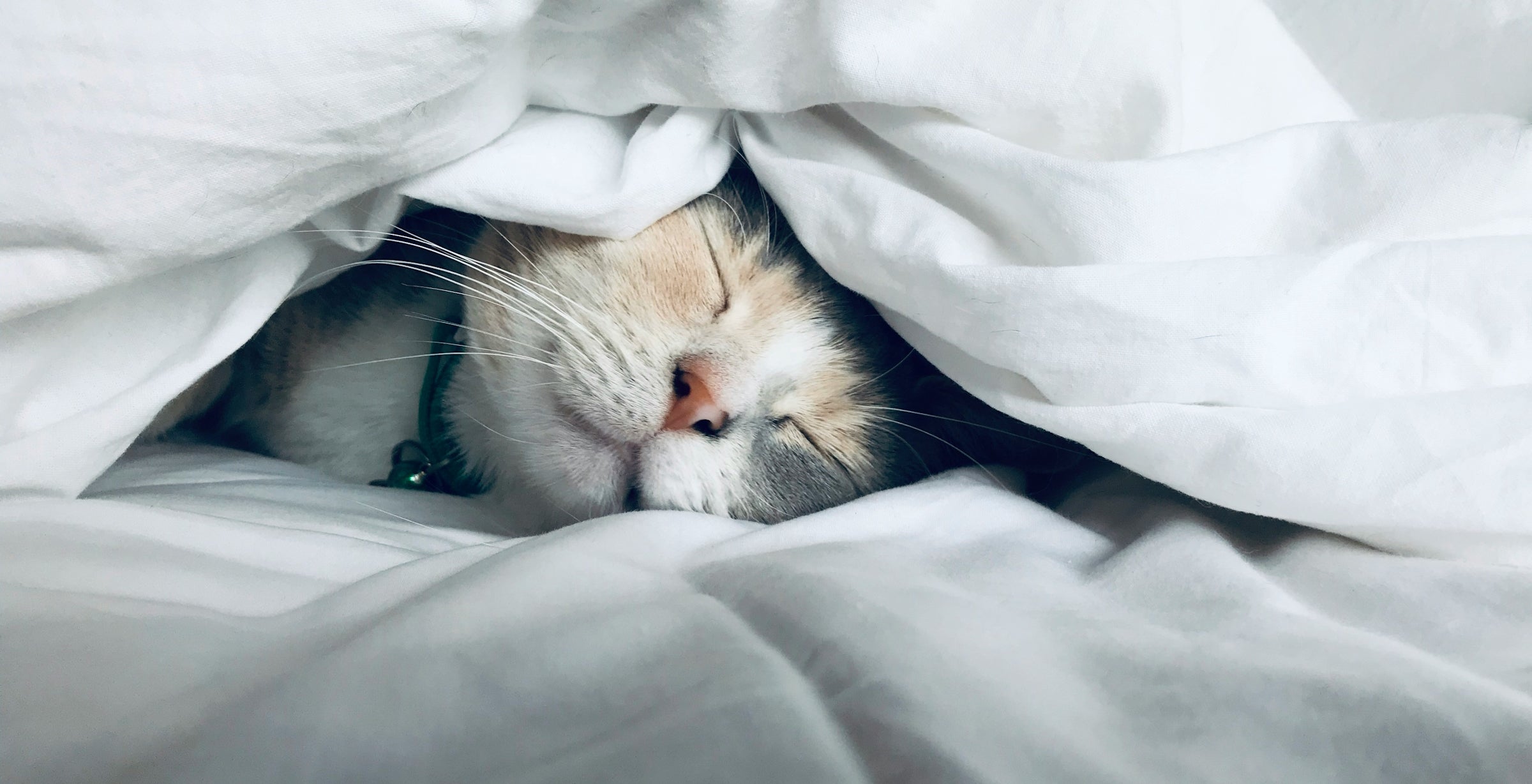 These foods and drinks can boost your sleep quality