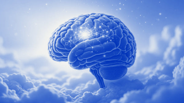 What Are the Benefits of GABA?