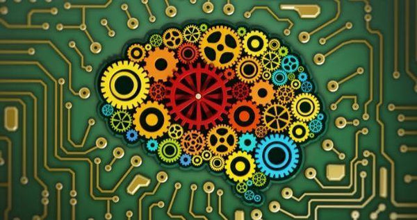 How Sentia Makes You Feel - Sentia Spirits