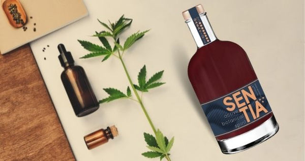 CBD vs Gaba Drink Sentia