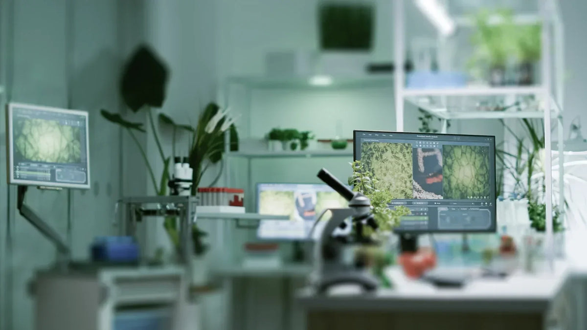 Ongoing SENTIA Research Collaborations