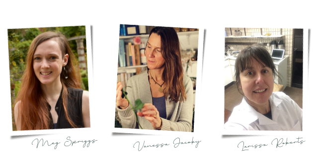 The Women Who Made Sentia Possible