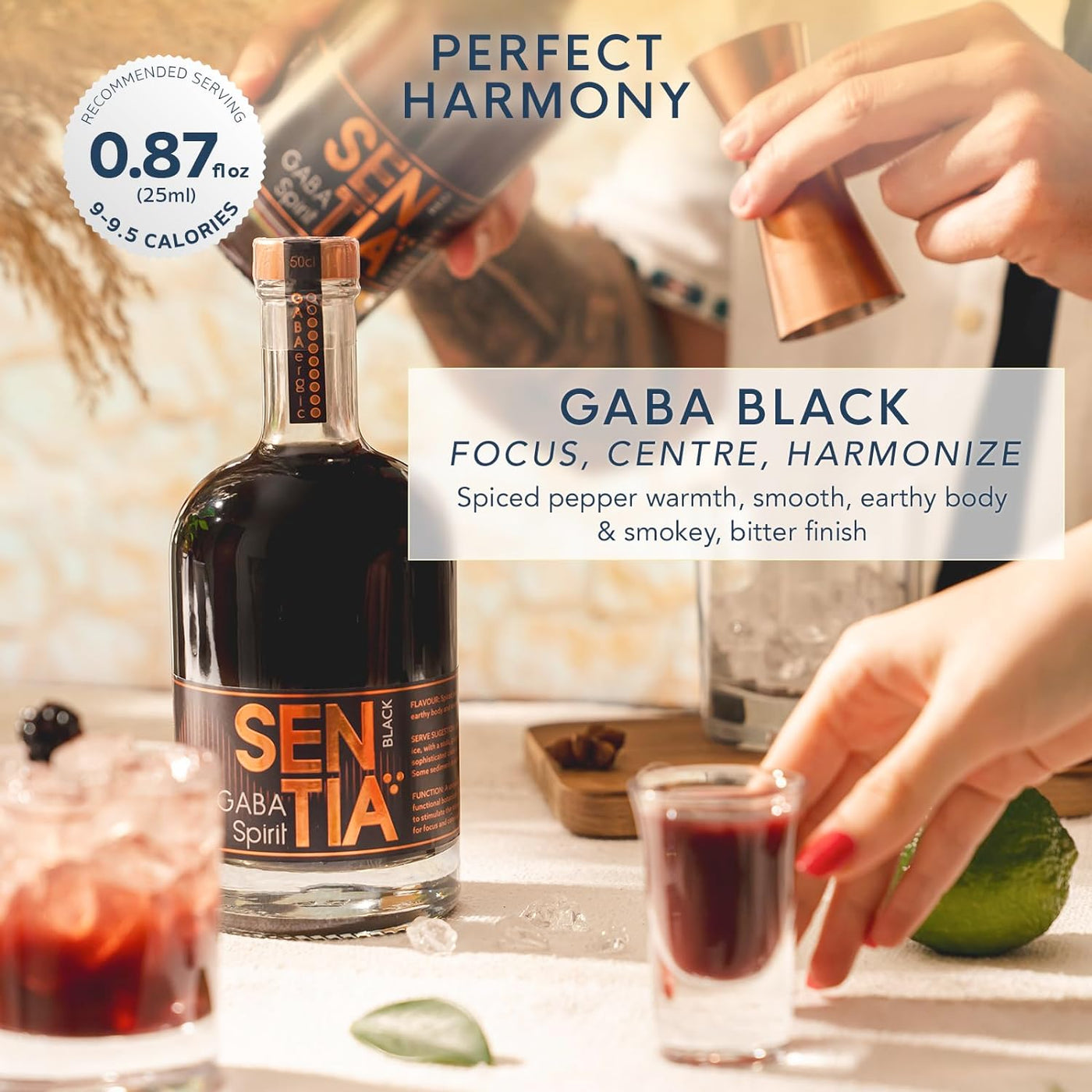 SENTIA GABA Black 500ml