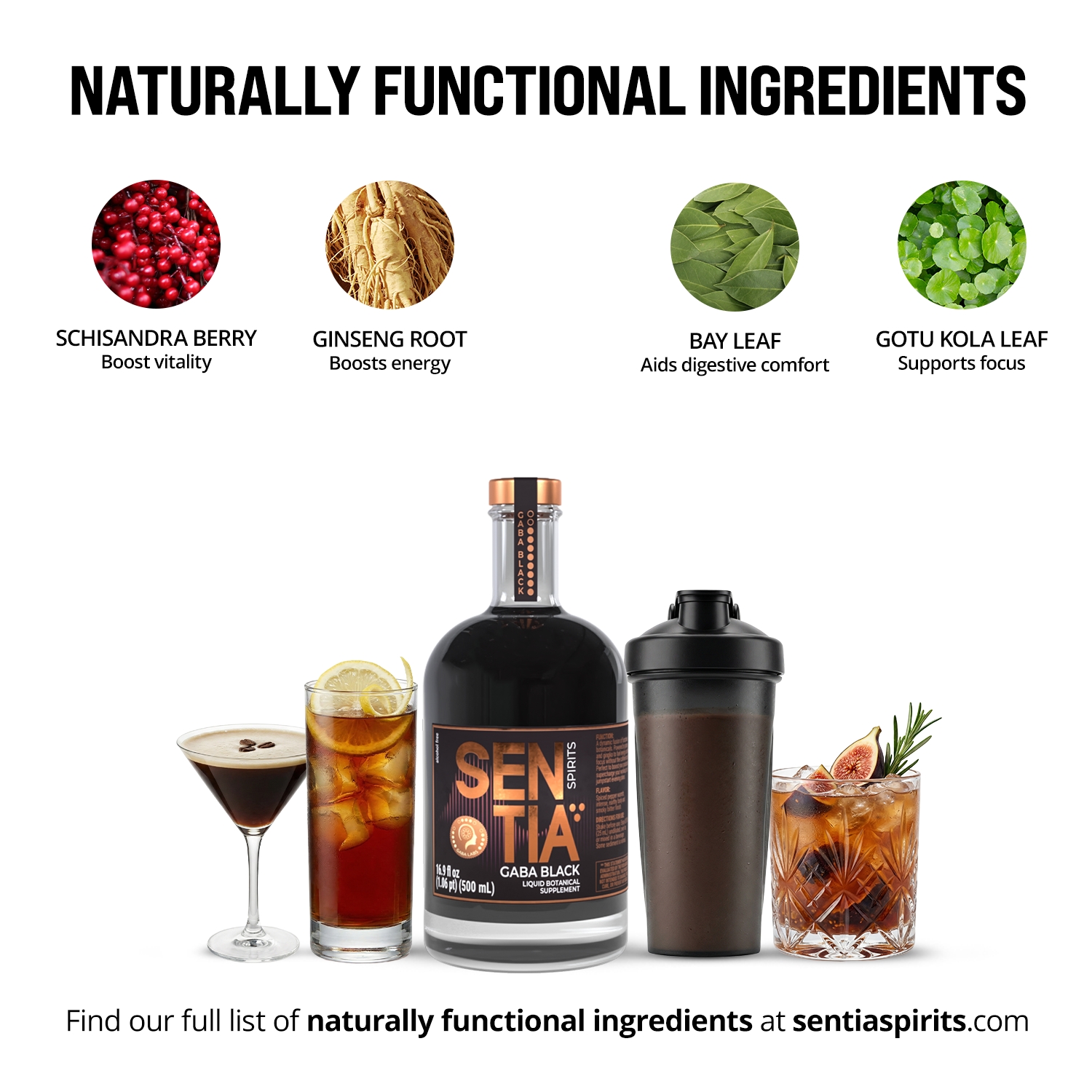 Magnolia Bark, Schisandra Berry, Sage Leaf, Orange Peel, Star Anise Pod, Ginseng Root, Black Cardamom Pod, Thyme Leaf, Cinnamon Bark, Gotu Kola Leaf, Rosemary Leaf, Liquorice Root, Ginkgo Leaf, Bay Leaf, Angelica Root.
